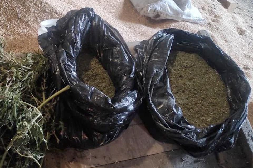 �� ���������� ���������� ������ �� 10 ��� �� �������� 11 �� ����������