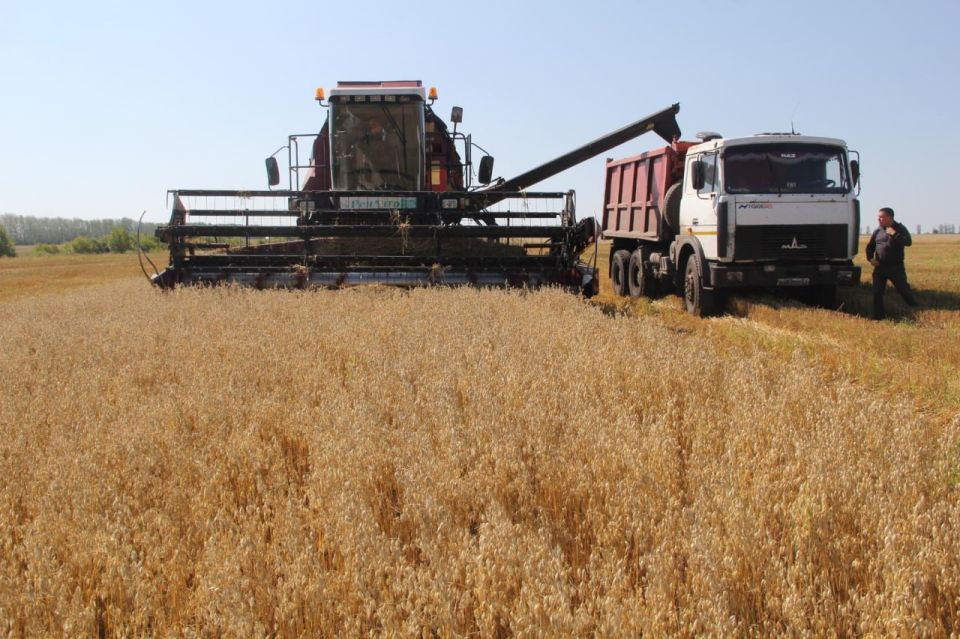 В Верхнерогачикском муниципальном округе усилен контроль за легальностью трудоустройства в агросекторе