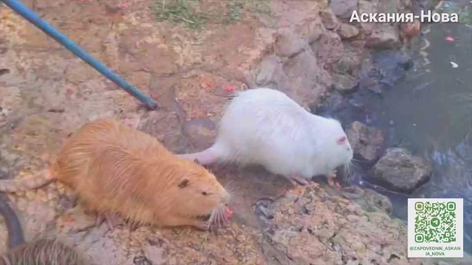 ������ �� �� ���������� ������?