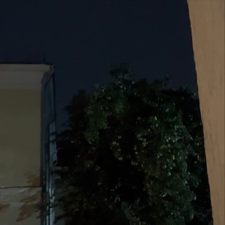 � ������� ��������� ���� � 23.00 ��� 3 ������� �� 05.20 ��� 4 ������� ��������� ���������� ��� ��������� � ���������� 61 ���������� ����������� ����������� ������� ����������� ����: