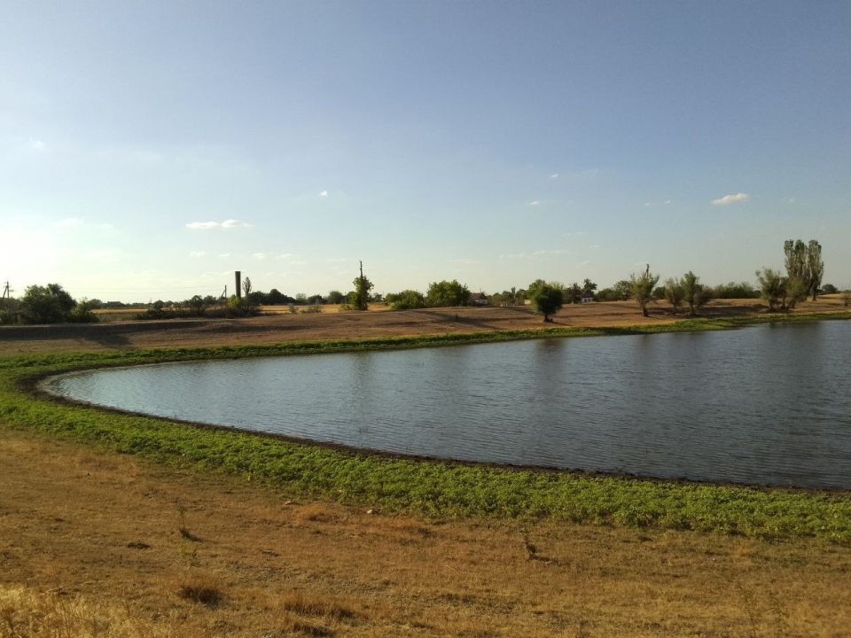 ���������� ���� � �����: ���������� �������� ������ �������� ������� ������� ����