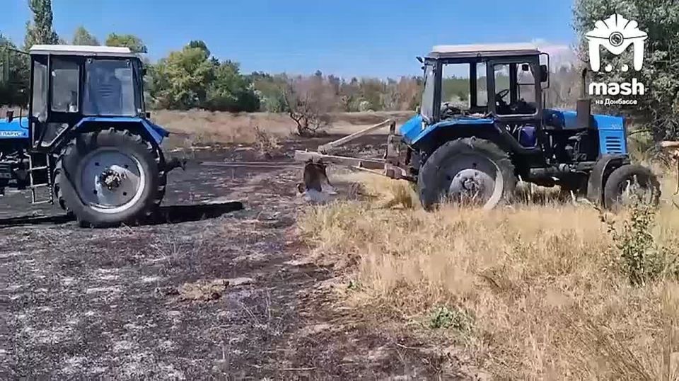 ����-��������� �������� ����������� ���������������� �������, ������� �������� ���������� ������ �����