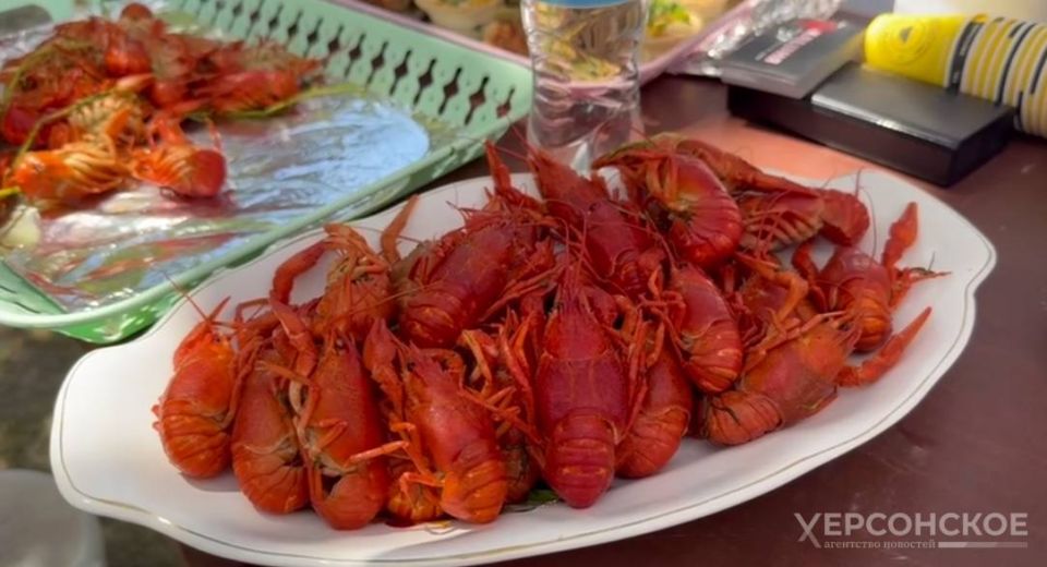 Сельхозпроизводители 8 округов Херсонской области приняли участие в фестивале «Золото Таврии»