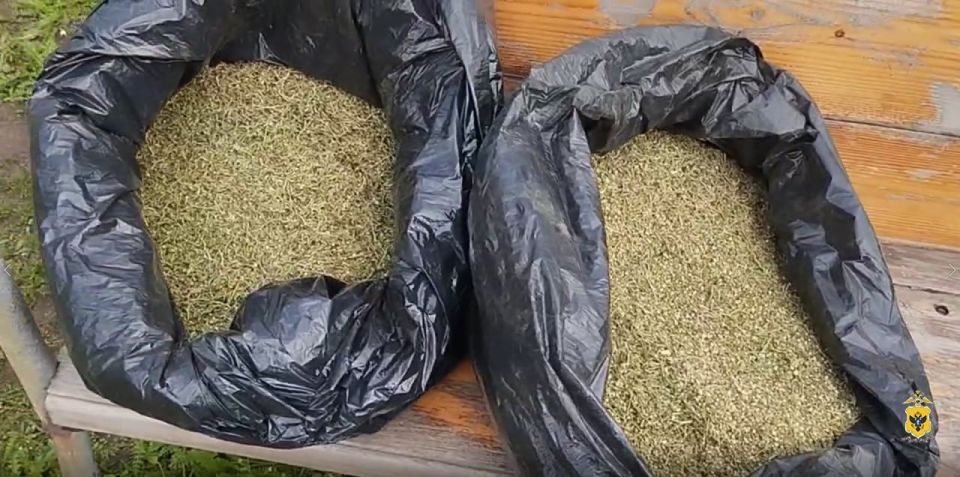 ����������� ��������� � ��� ��������� ���� � ���������� ������������ � �������� ������������� ������� � ������� �������