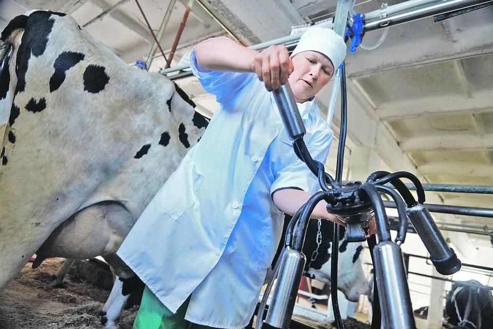 ������� ���������� ����� �������� �������� �� ������