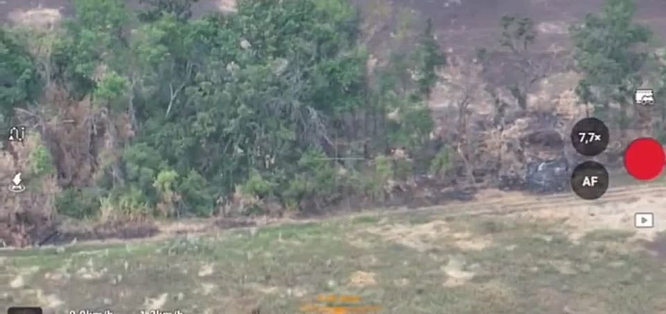 ���� �� �������: �� ���� ��� ������. ��� ���������, ������ �� ������������, �������� � ����������� ������� �������� � ������ ������� �� ���������