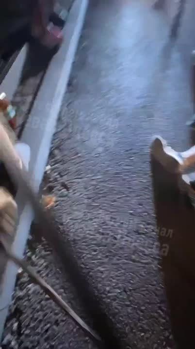 ���������� ��� � ������ �������� ����� � ����������� ������� �������� � ����� � ������ �������������, ������ ��������� ��������, ��������� ������� ������� ������� ���� �������