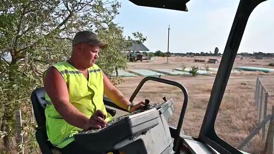 � ���� ���������� ����������� ������� ��������������