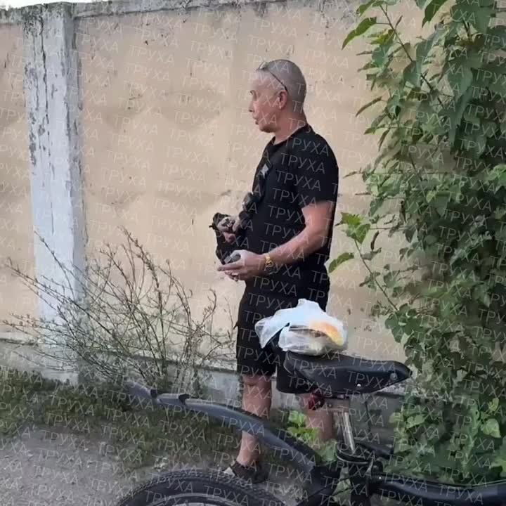 � ��������� �������, �������� ���������� ������� ��� �������� ����������, ������ �������, �������� ���� � ������ ����������� ��� �� �������, ��� �������� ��� ���������