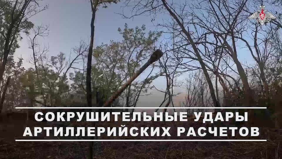 ���������� ������: ���� �� ������: ������������ ���������� ������� ������� � ������� ���