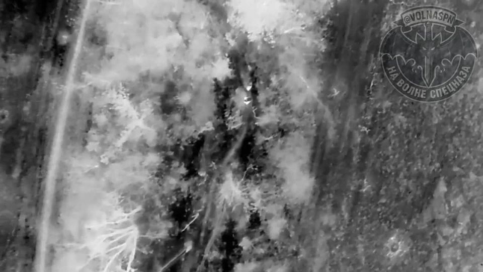 ����� ������� ������ "���������" ������� ����� ����� ��������