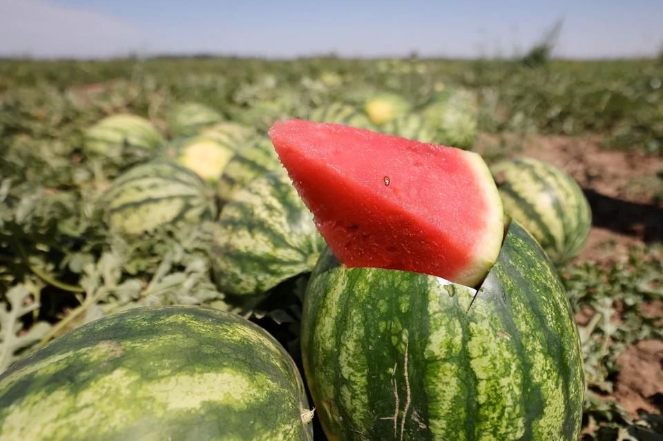 ���������������� �� ����� � ���������� ������� �������� � ����������