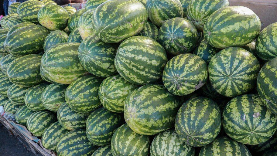 ���������������� ���������� ������������ ���������� �������