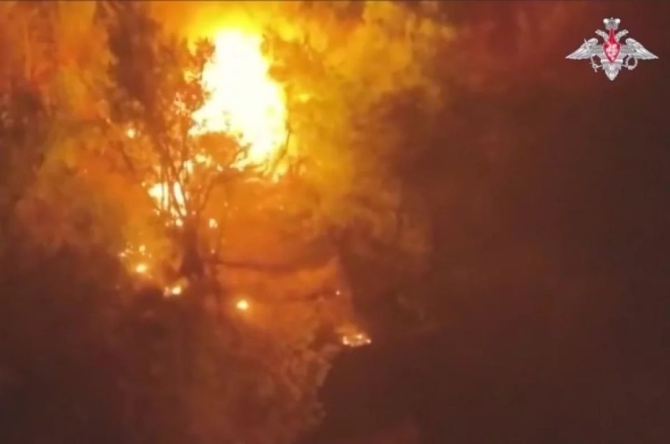 ������ ��� �� 5 �������. ��������� ���� ���������� ���������� �������� ��� � ���������� ������� � � ���� ��� ���� ���-3000 �������� ����� ��������� ���������� 14-� ������� ���������� �������� ������, ��������� ��� �����...