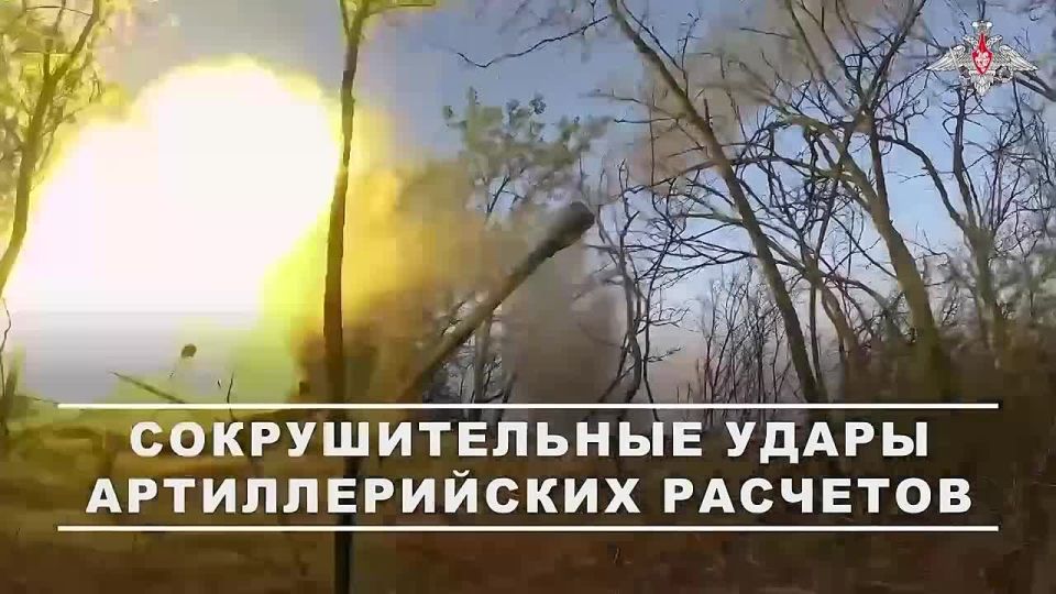 ���� �� ������: ������������ ���������� ������� ������� � ������� ���