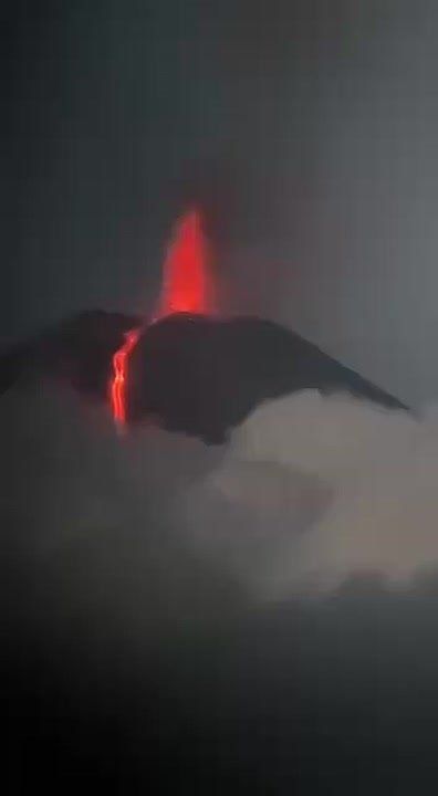 ��� �� ������ ���������� �� �������� ���� �����