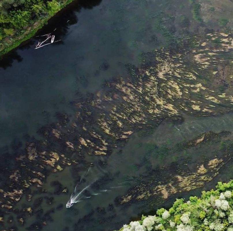 � ����� ������������ ������� #������ ������������ ���������� ����� � ������� �� ������������ ���� ������ ����� ����� � ����� - ����