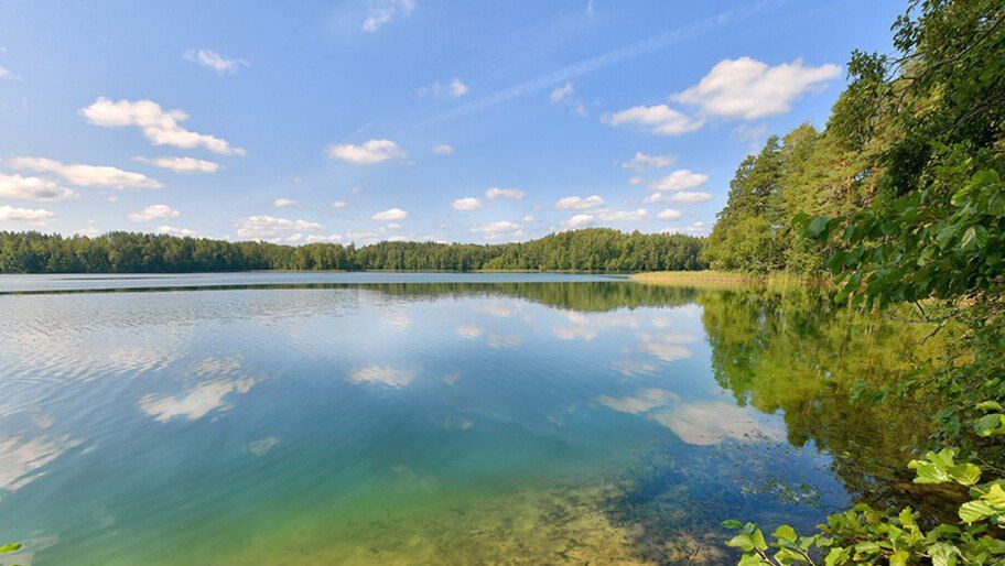 �������� ���������� ������� ����������� � ������������ ���� ����������� ��������