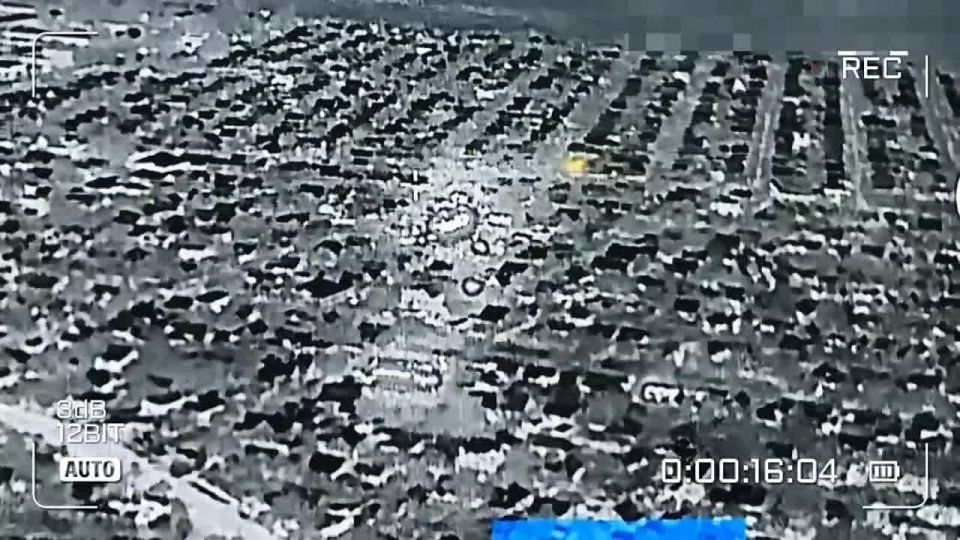 ������. ������� ����