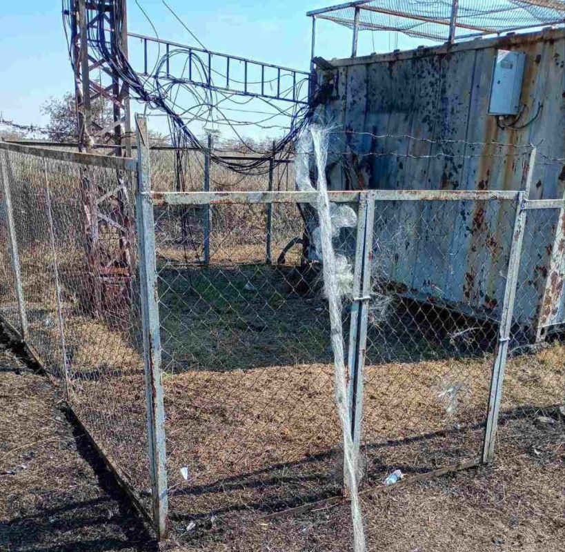 �� ���� ������������ ����� ������� ����� � ���������� ������ ������������ ������� ���������� �� ����� �������