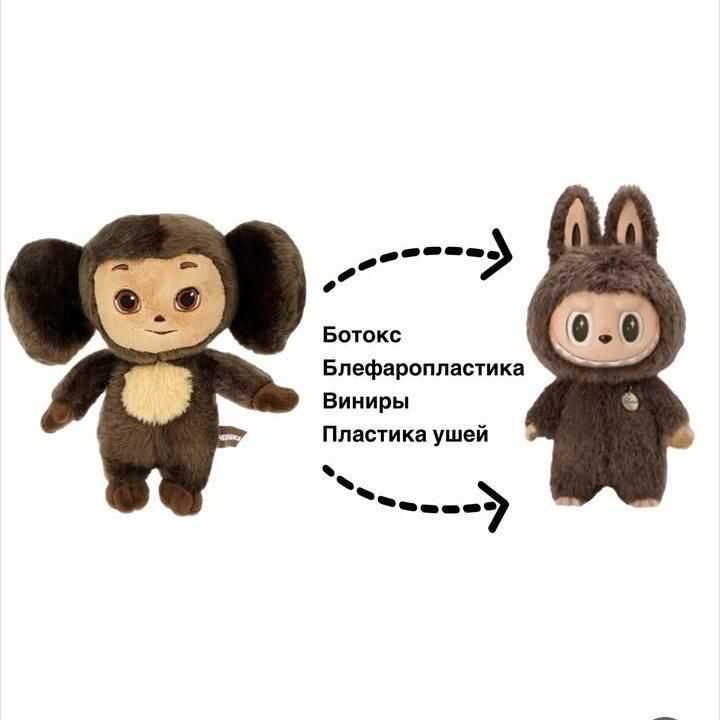 ����� ���� �����