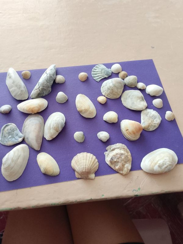 ������� ������. ���� ���� � ������� � ������������ � ��������� ��������� ��������