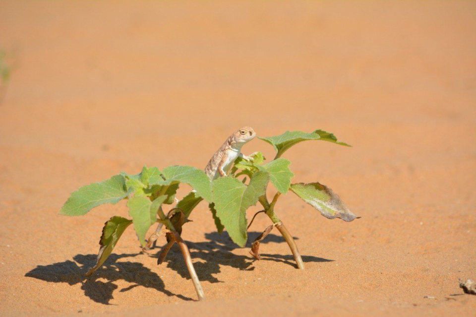 ������ � ��������������: ��� ������ ���������� ������