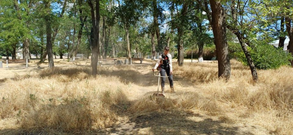 ������������ ����������: � �. �������������� ��������� ������ �����