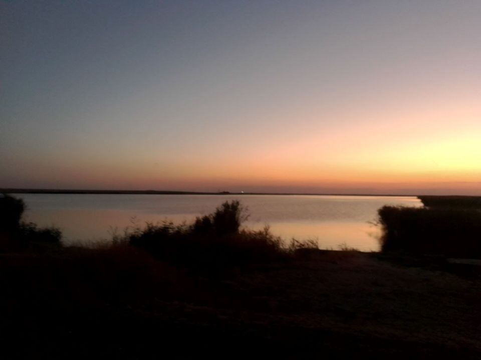 ����� � ������������ ������