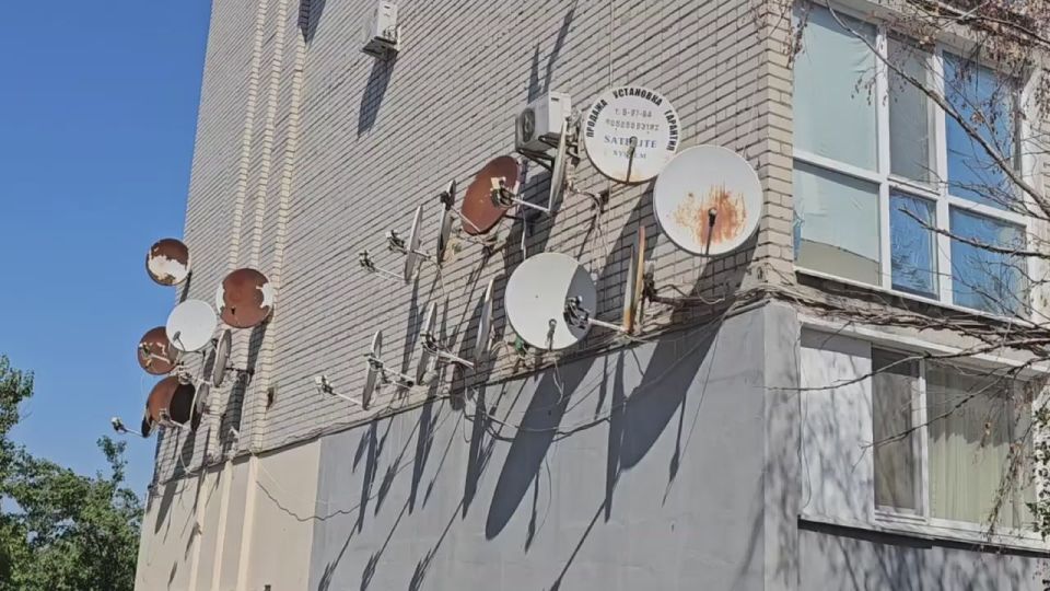 ��������� �����: ��������: ������ � ���������� �����������