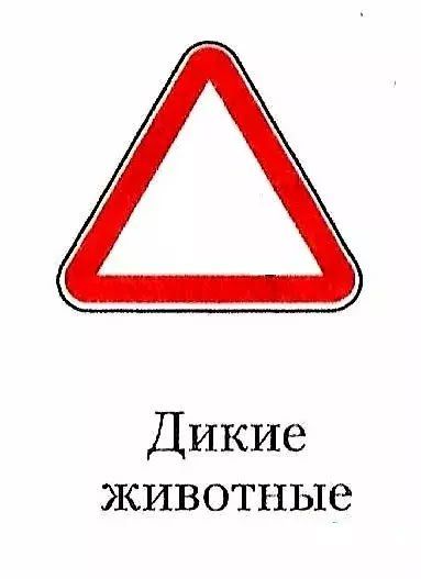 ����� �������� ����� � ����