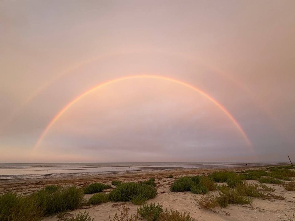 ������ � ���������. ��������! ���� �� ������� ��� ��������� ������, ���� �������� �������! ��� ����������� �������� ���� | �� | �� | ���