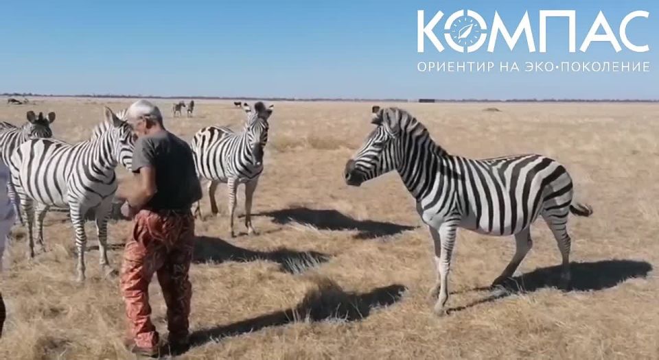 ��������-���� �������� ���������: ���� ������� ������� �������� �� ����� ��� ��������