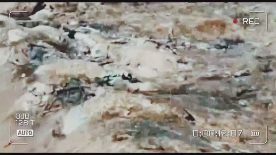 ���������� �����������.. �������� ��� �� ������� 49 �� �� "�����"