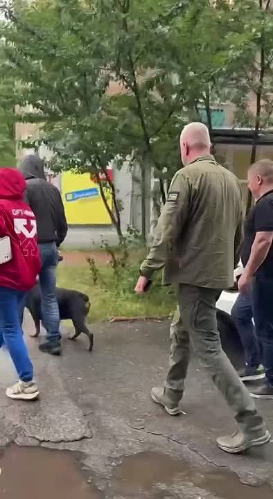 ���� �� �������: ������� �����������: ��� ����� ����� �����