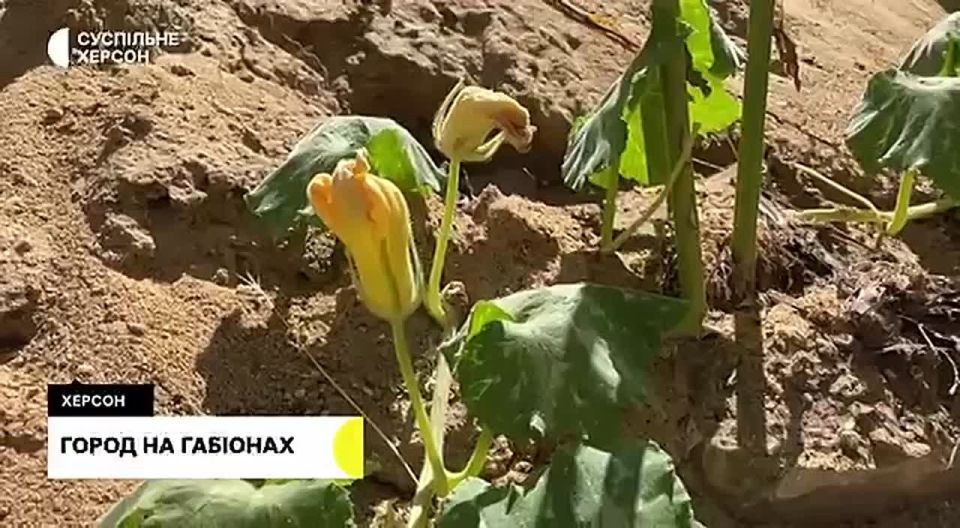 � ������� ������������� � ������������ ����� ������ ����������� � ������� �������