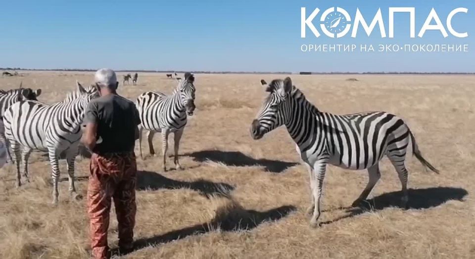 ������� ������� ����������� ��������-���� �������� ��� ������� ������