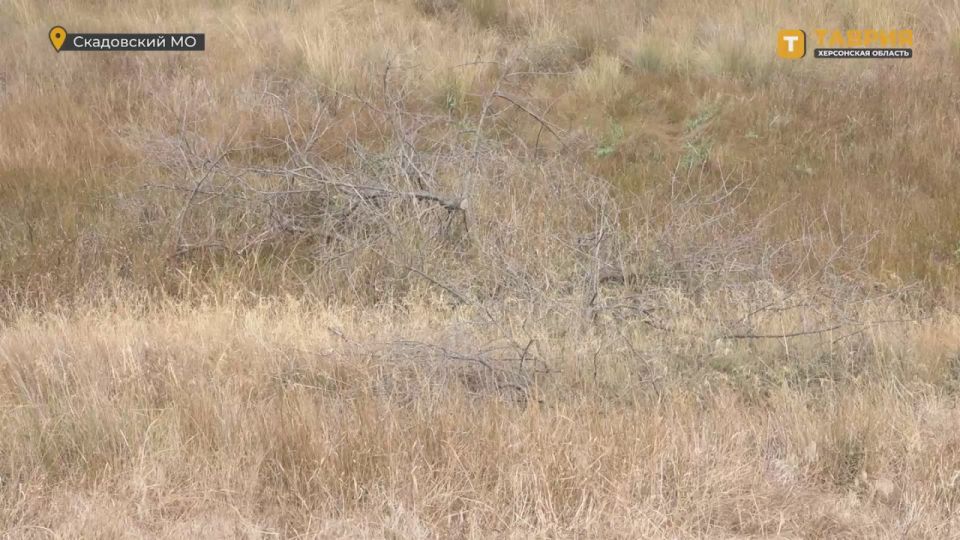 ���������� ��� ���� ������� ����������� ������ ������������ �� ������ ���������� ������� � ������������� ������