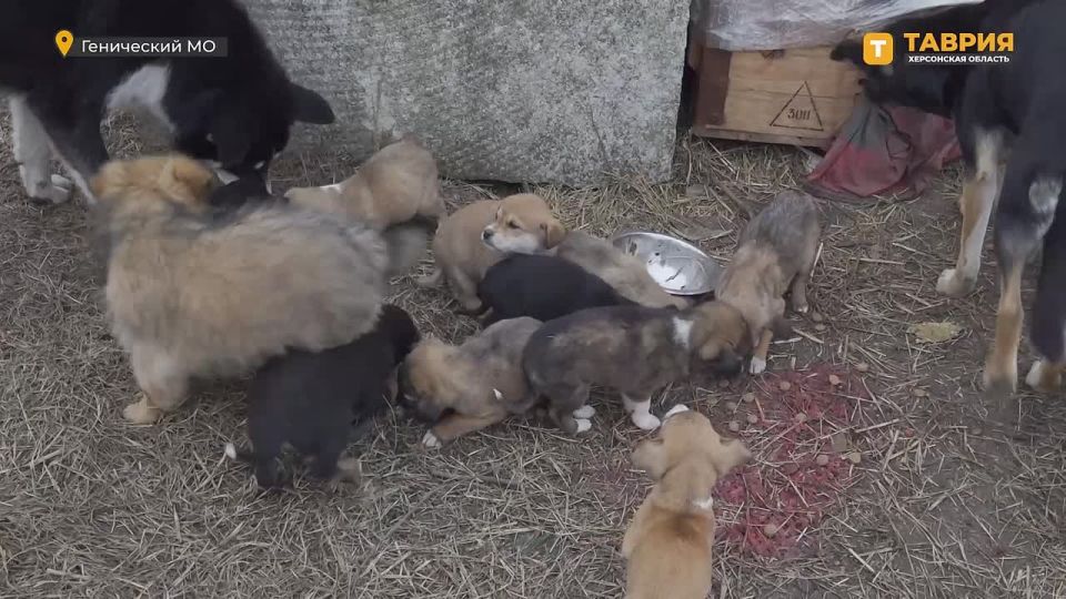 �� ���������� ���������� ����� "������ ����" ��� ������ ��������� ��������