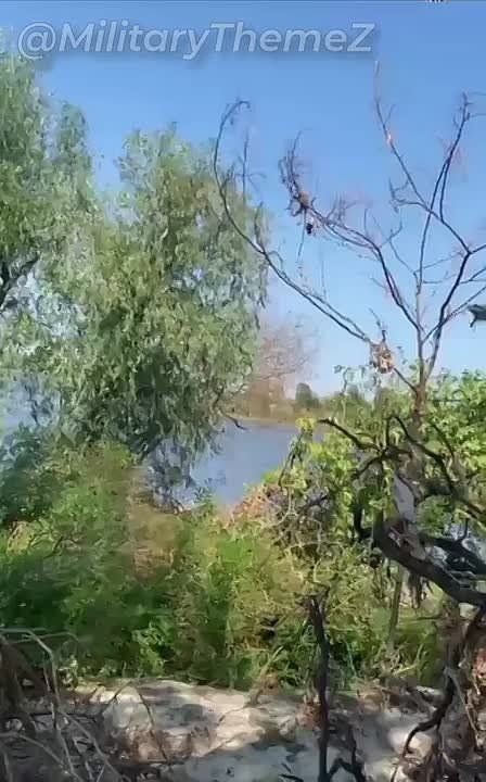 ������ �������� ��� ��������� � ����� ��������� ����� ������� ����� ���, ���������� �������