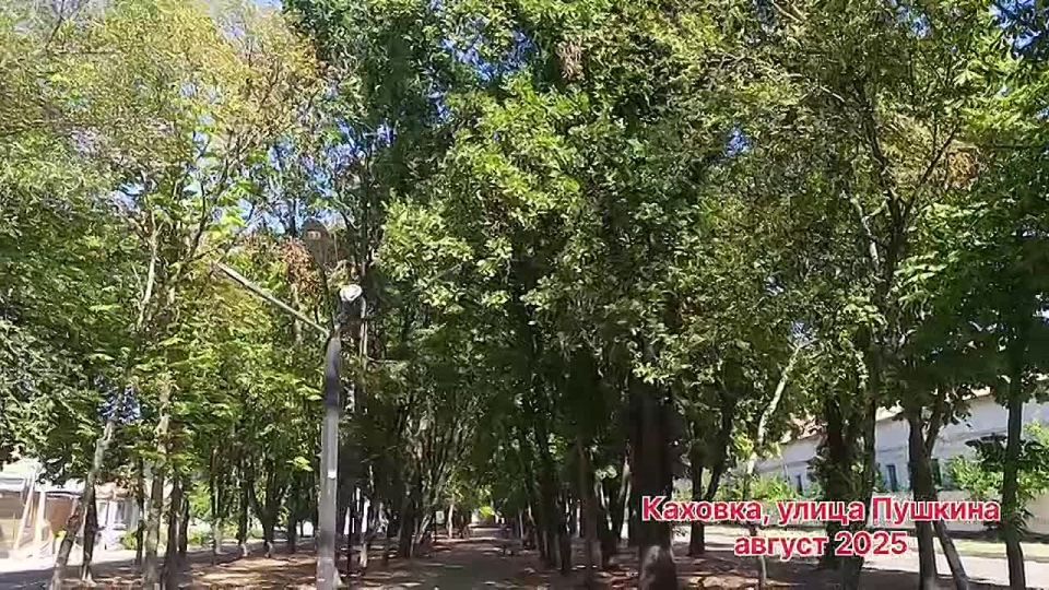 ������ ����, ������ ���������� �������������� ������!