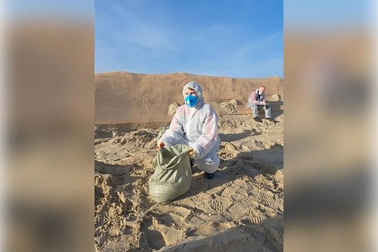 ����� ��� �����: ���� ������ � �������!�: ��������� ������ ����������� ����� ���������� ���������� � ������