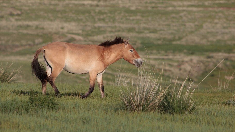 ��������� ���������� ������� ������� � �������� ������������� �������