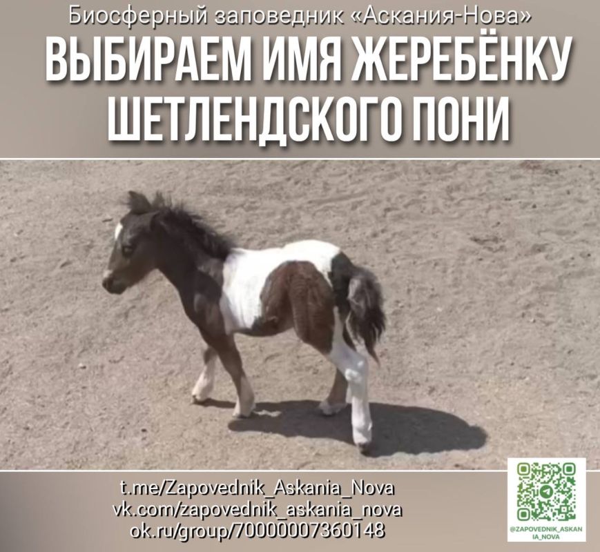 �������� ��� ��� �������� ������������ ����