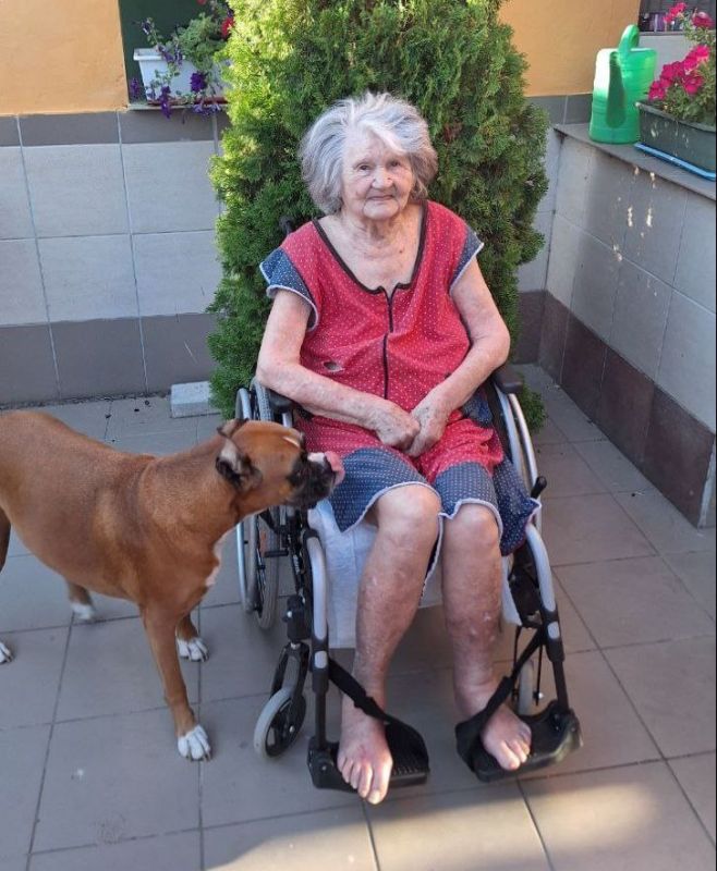 ���������� ���� �������� ���� �������� ���������� ������� �� ������������������ ����� ����� ��������