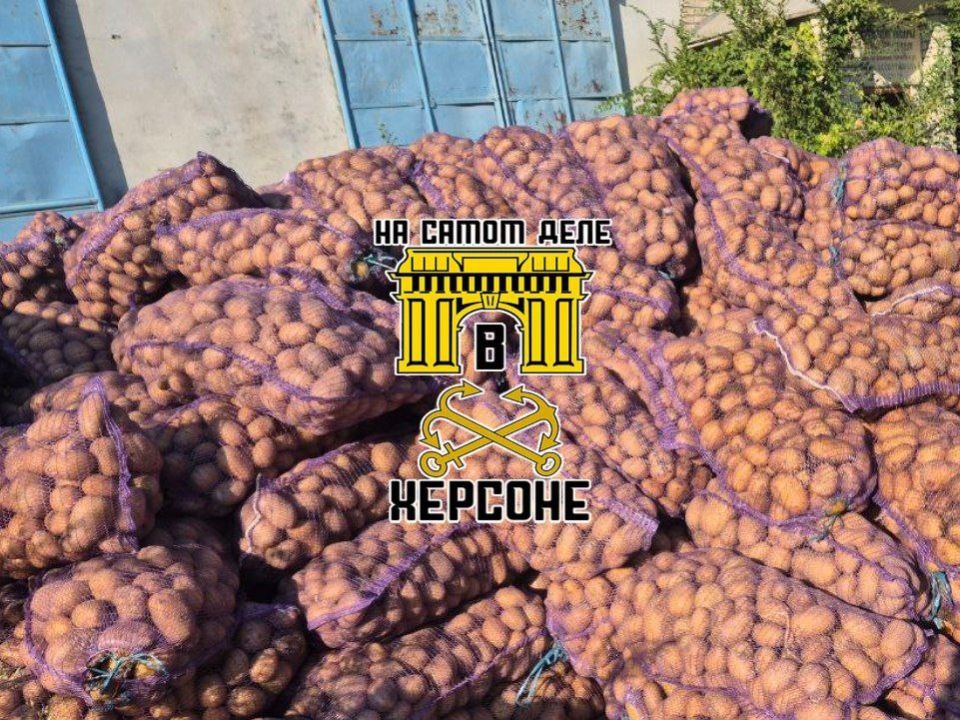 ������ �� ���������� ������� ����� ��� ������� ���� ��������� ������� ������������ ������� ���