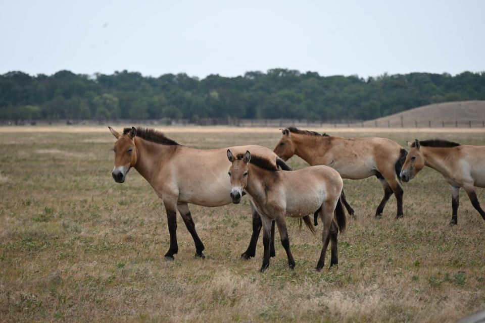 ������� ���������� ��������: ������ ���������� ������� �� ���������� ������ ������������� ������� ������������� �����!