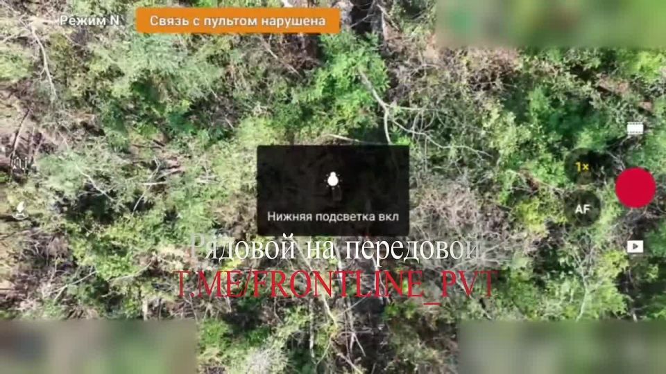 #�����_�_����. ��� ���� ������� Starlink ��� �������� ������� � �������� ���� ���������� ����������� ����� ������ �� ��������� �����������