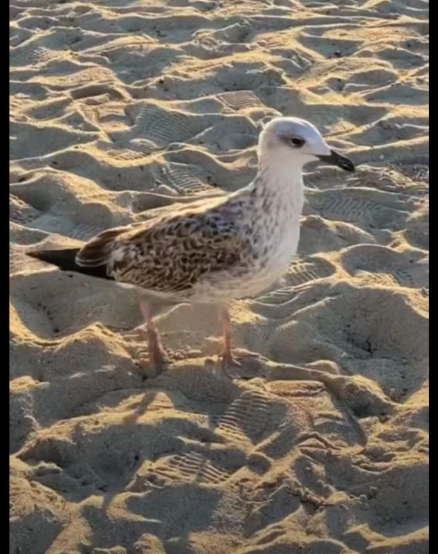 ������� �������: ���� - �� ���������. ������� ������ ���������� ���� � ���� ����� ��������, ��������� ���� �������� ������������ ���� ������