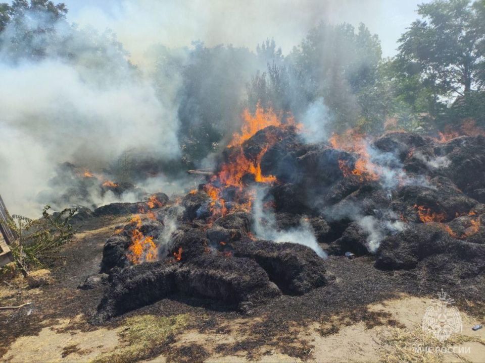 ��������� ��� ���������� ������� ������������� ����� � ����������� ������